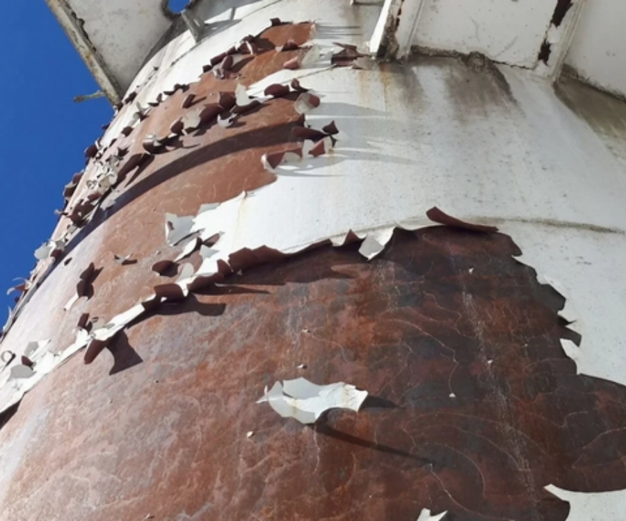 Ekolojik Boya Sökücüler